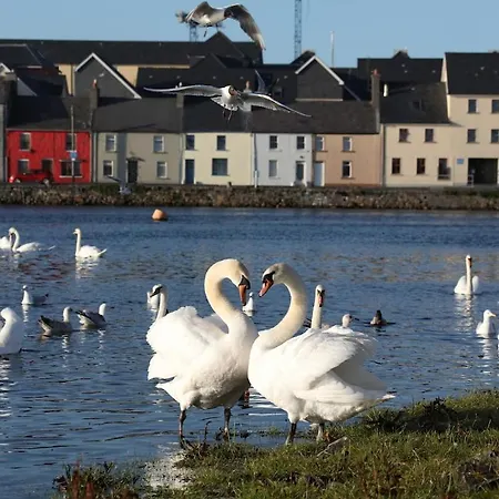 بيت للعطل Salthill